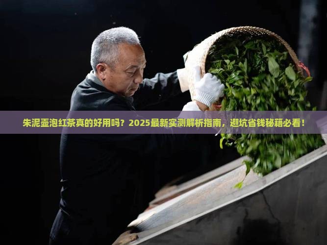 朱泥壶适合泡红茶吗