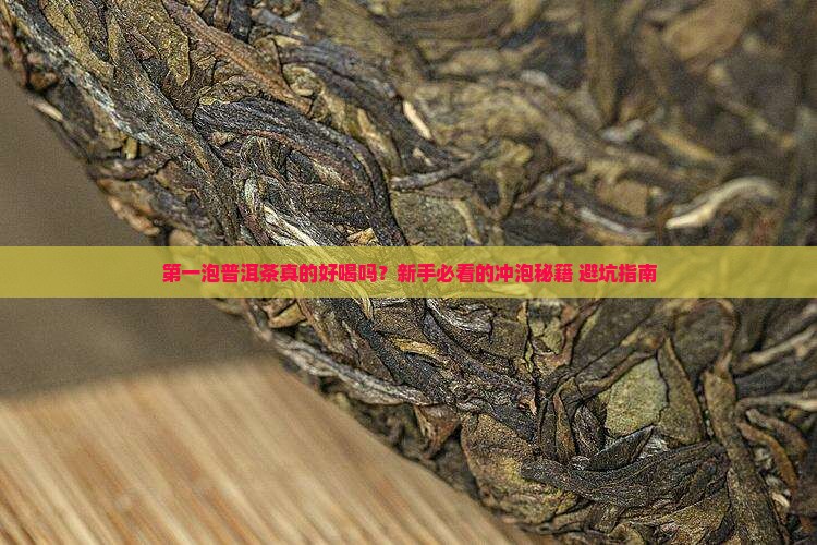 普洱茶第一泡就好喝吗怎么喝