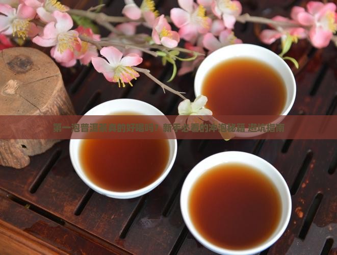 普洱茶第一泡就好喝吗怎么喝