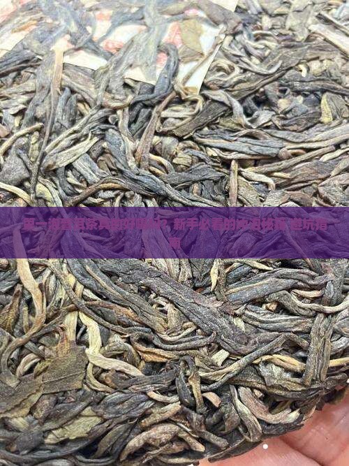 普洱茶第一泡就好喝吗怎么喝