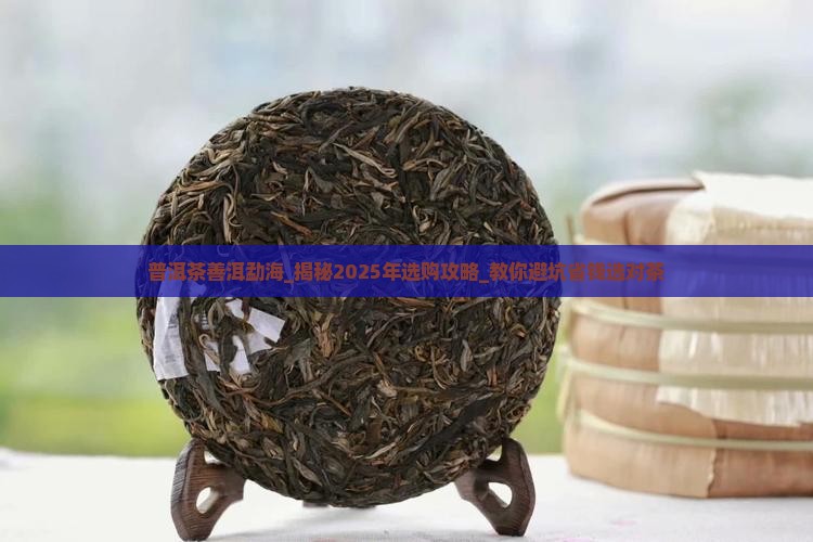 普洱茶善洱勐海