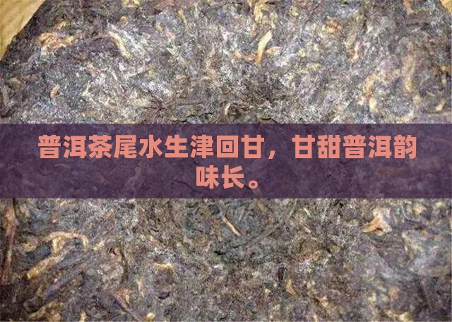 普洱茶尾水甘甜生津