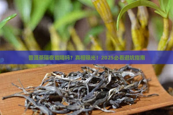 普洱茶能隔夜可以喝吗