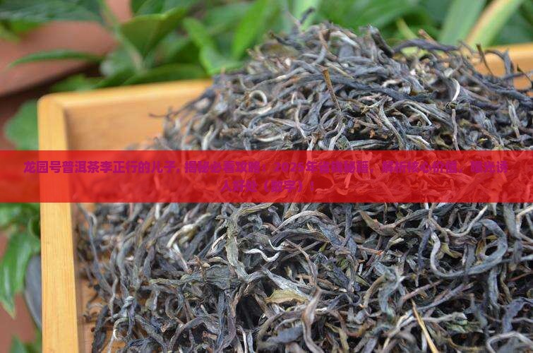 龙园号普洱茶李正行的儿子