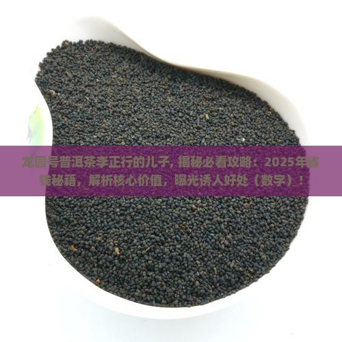 龙园号普洱茶李正行的儿子