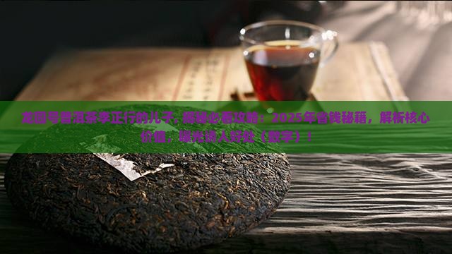 龙园号普洱茶李正行的儿子