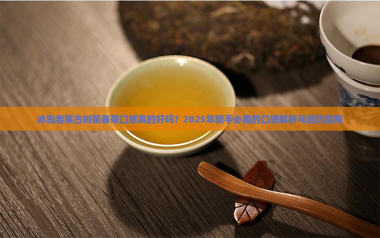 冰岛老寨古树茶春茶口感