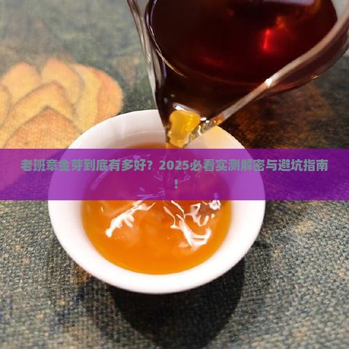 老班章金芽是什么意思