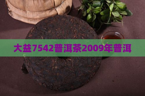 7542普洱茶2009年