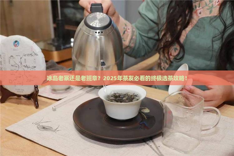 冰岛老寨和老班章选哪个