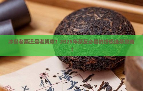 冰岛老寨和老班章选哪个
