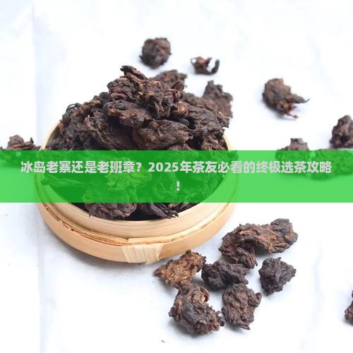 冰岛老寨和老班章选哪个