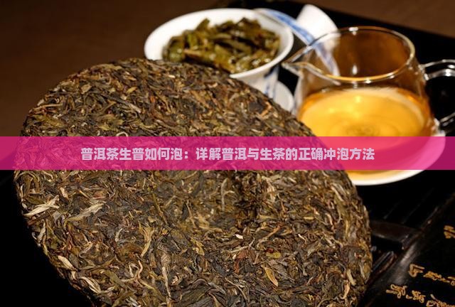 普洱茶生普如何泡