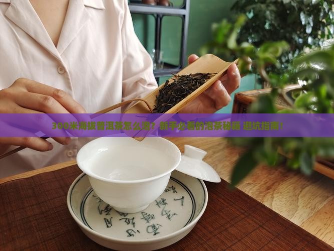 300米海拔普洱茶怎么泡