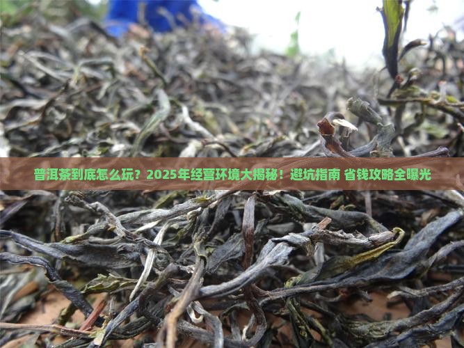 普洱茶的经营环境
