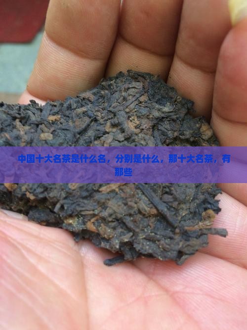 中国十大名茶是什么名