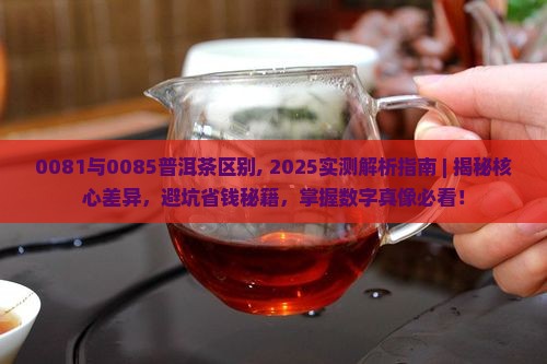 0081与0085普洱茶区别