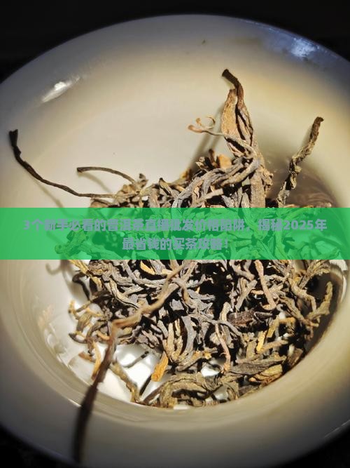 普洱茶直播批发价格表大全