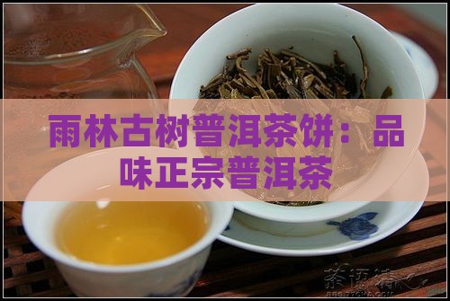 雨林古树熟普洱茶饼