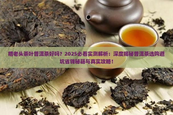 糟老头茶叶普洱茶好吗