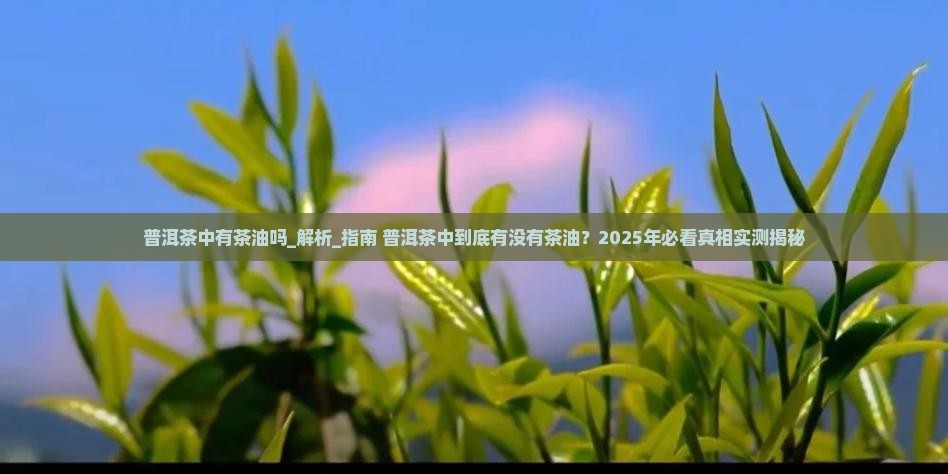 普洱茶中有茶油吗