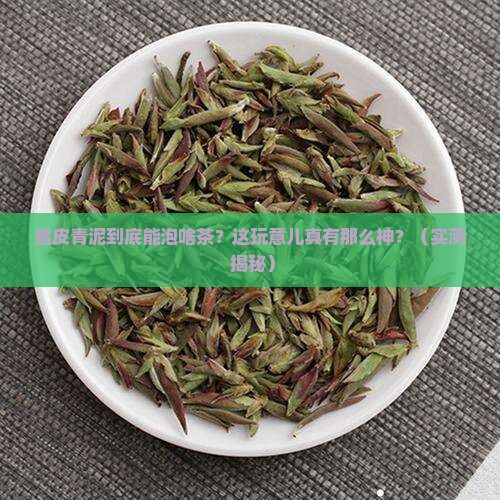 鲨皮青泥适合泡什么茶