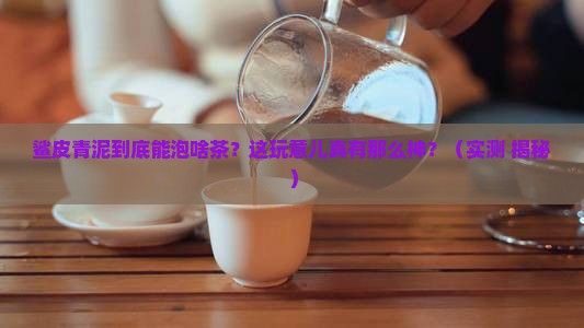 鲨皮青泥适合泡什么茶