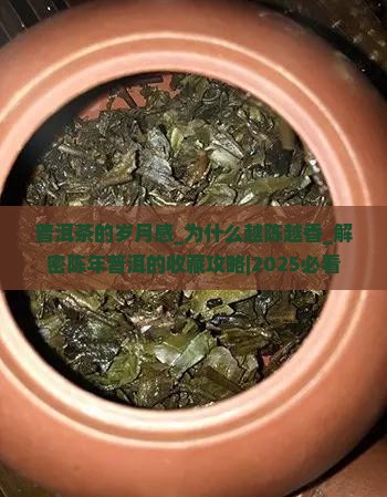 普洱茶的岁月感