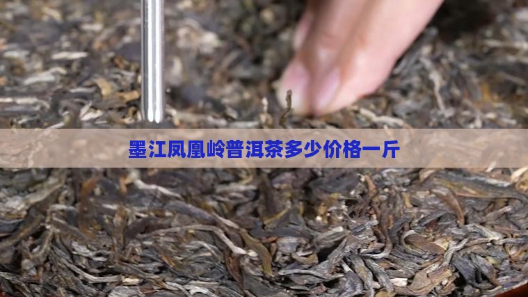 墨江凤凰岭普洱茶多少价格