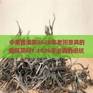 中茶普洱茶2020年老班章