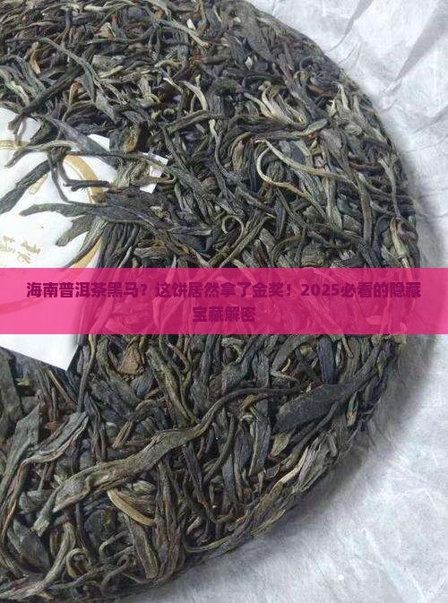 海南创新型的普洱茶金奖饼