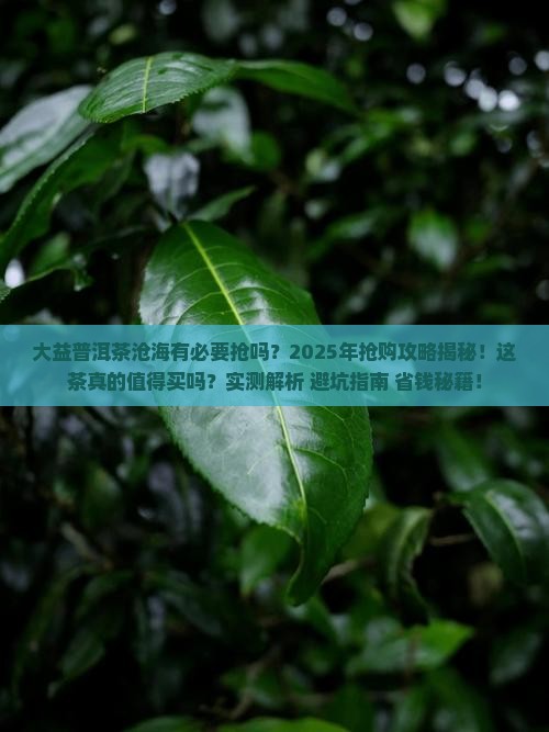 大益普洱茶沧海有必要抢吗