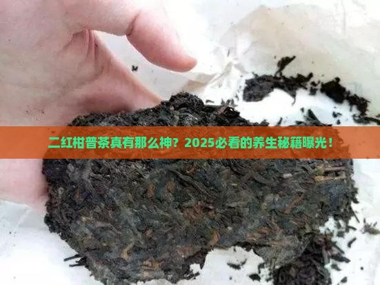 二红柑普茶功效