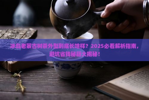 冰岛老寨古树茶外型