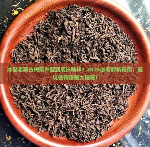 冰岛老寨古树茶外型
