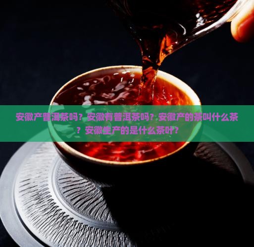 安徽产普洱茶吗