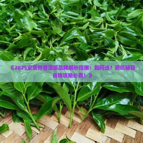 安居熟普洱茶品牌