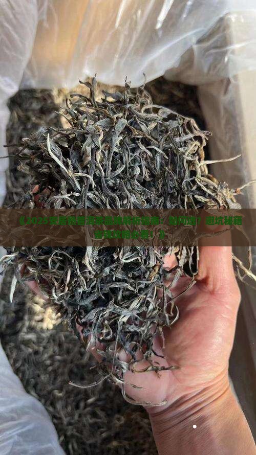 安居熟普洱茶品牌