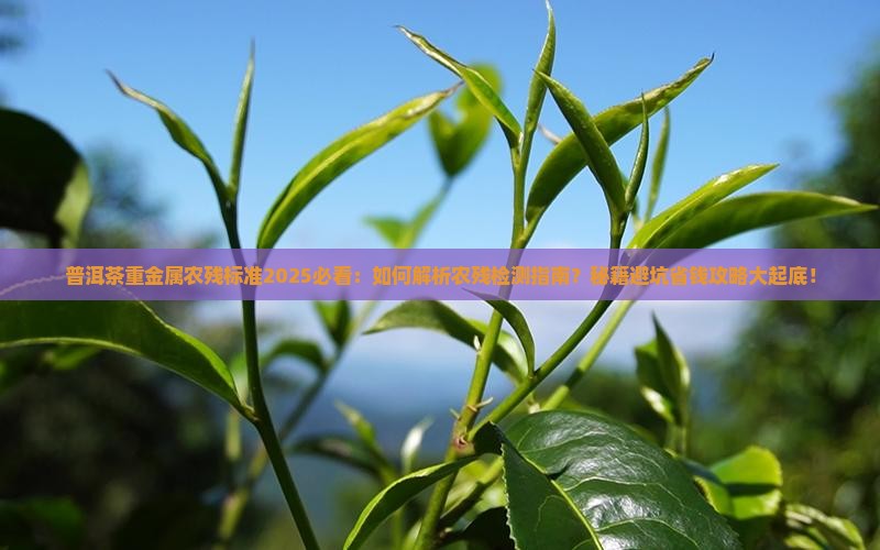 普洱茶重金属农残标准