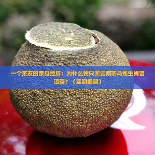 云南茶马司生肖普洱茶