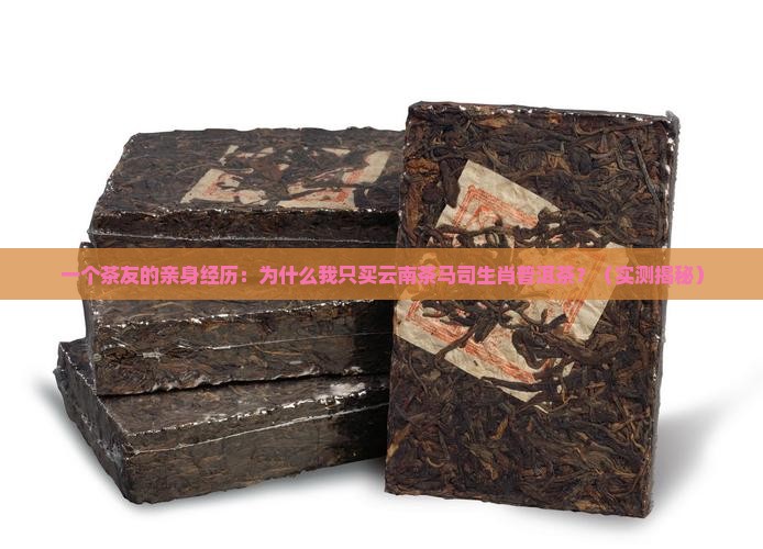 云南茶马司生肖普洱茶