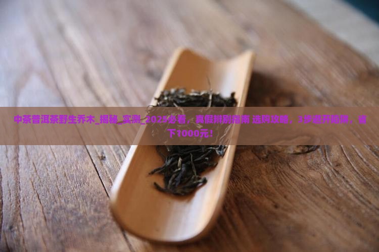 中茶普洱茶野生乔木