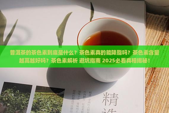 普洱茶的茶色素