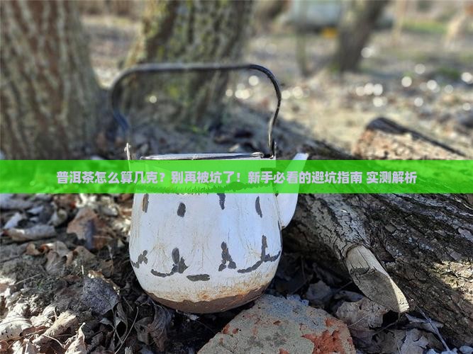 普洱茶怎么看几克
