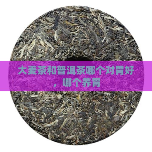 大麦茶和普洱茶哪个对胃好