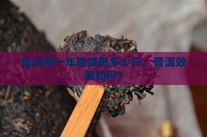 普洱茶一年能减肥多少斤