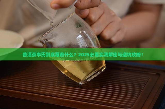 普洱茶孪氏指的什么