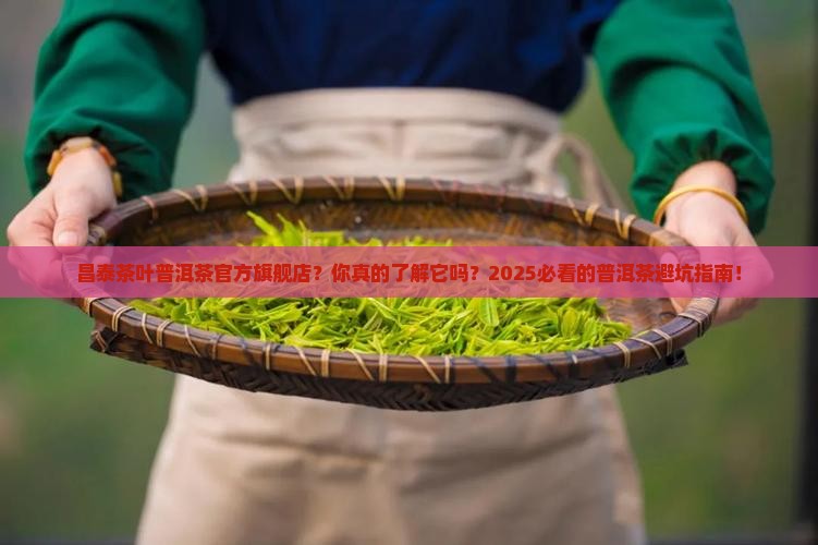 昌泰茶叶普洱茶官方旗舰店