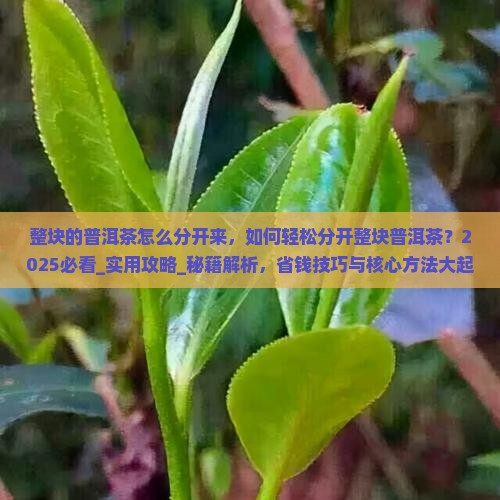 整块的普洱茶怎么分开来