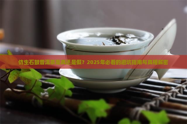 仿生石鼓普洱茶